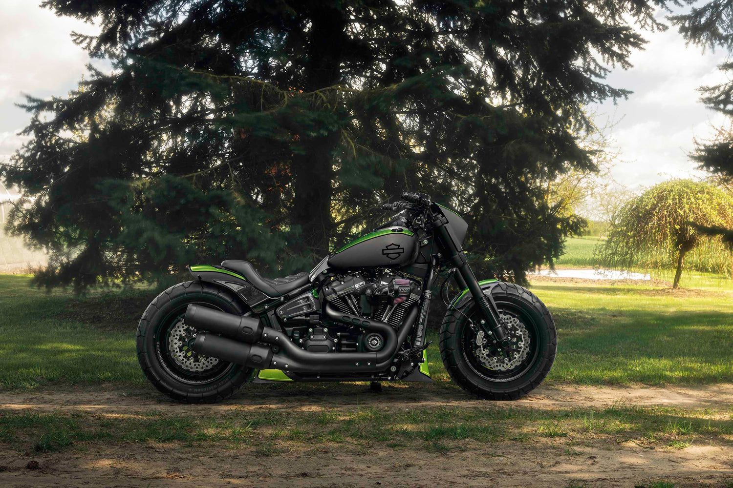 2020 FAT BOB FXFBS 117 