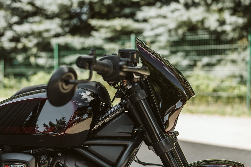 Custom Speedster Mask Harley-Davidson 2021-Later Sportster S